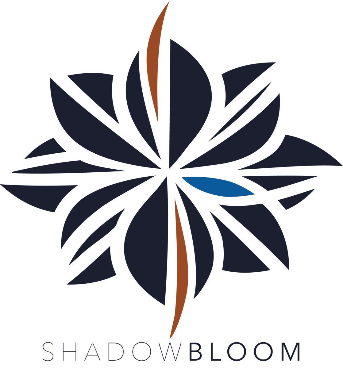 Waiting For The Piano To Fall Shadow Bloom conversion-guide-360mm-to-inches-accdis-portal