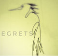 egrets image