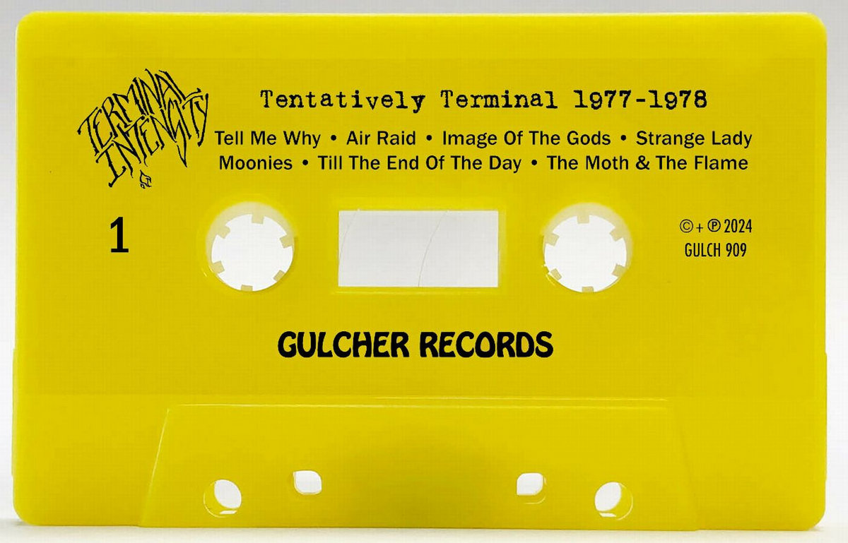 Terminal Intensity Tentatively Terminal 1977-1978 | Terminal Intensity | The Gizmos