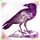 acorbie thumbnail