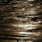 frunvekr thumbnail