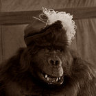 sargantana1959 thumbnail