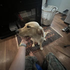 suskind_9 thumbnail