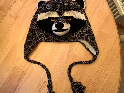 Trash Pandas Knit Raccoon Hat main photo