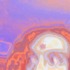 nmwrealm47 thumbnail