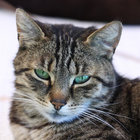 Katja B. thumbnail