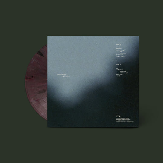 米LP Adrianne Lenker Bright Future 4AD0649LP 4AD /00260 Adrianne Lenker 