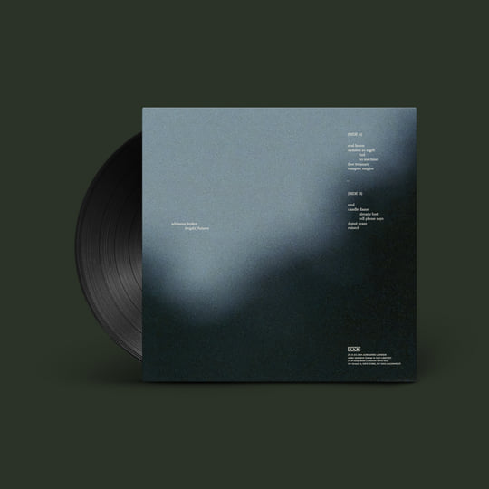 米LP Adrianne Lenker Bright Future 4AD0649LP 4AD /00260 Adrianne Lenker bright future 12