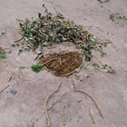 mouse_was_here thumbnail