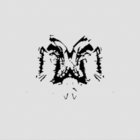 glabra thumbnail