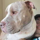 Shane Johnson thumbnail