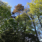 b_lynne_b thumbnail