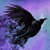 Maiden of Ravens thumbnail