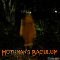 Mothman's Baculum image