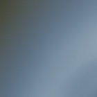 sedata_dnb thumbnail