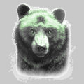 Brother Green Bear image