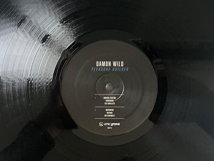 Damon Wild (NY) 11作　レコード Pleasure Builder (SGLP16) | Damon Wild