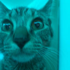 EGGY thumbnail