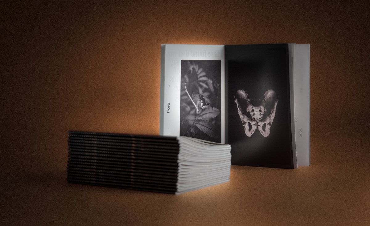 Voxal Roots Artist Book | Vocal Roots | Maria Coma
