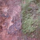 sacha thumbnail