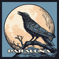 ParaLuna Records image