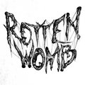 Rotten Womb image