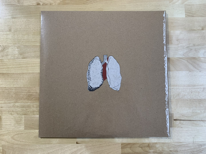 The Beggar | SWANS