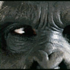 jturcotte thumbnail