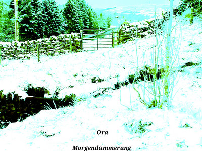 Ora 'Morgendämmerung' Ltd.Ed. CDr with cards main photo
