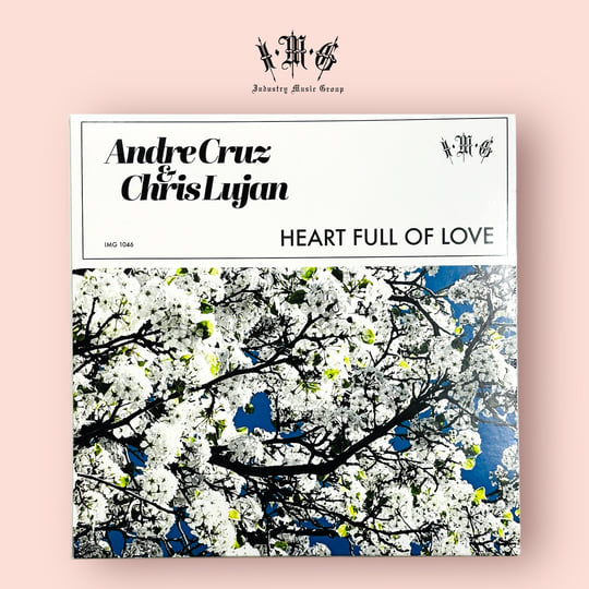Heart Full Of Love | Andre Cruz & The Black Diamond Rhythm Band