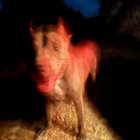 hometruthprovider thumbnail