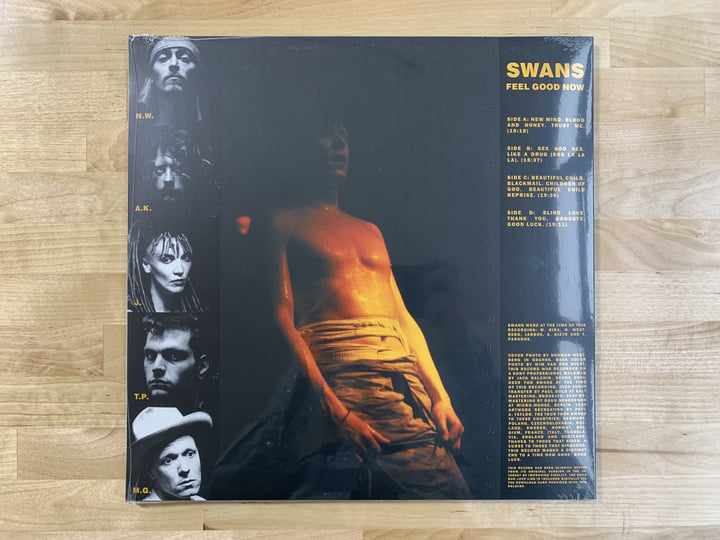 Feel Good Now | SWANS