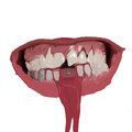 Chewing Teeth image