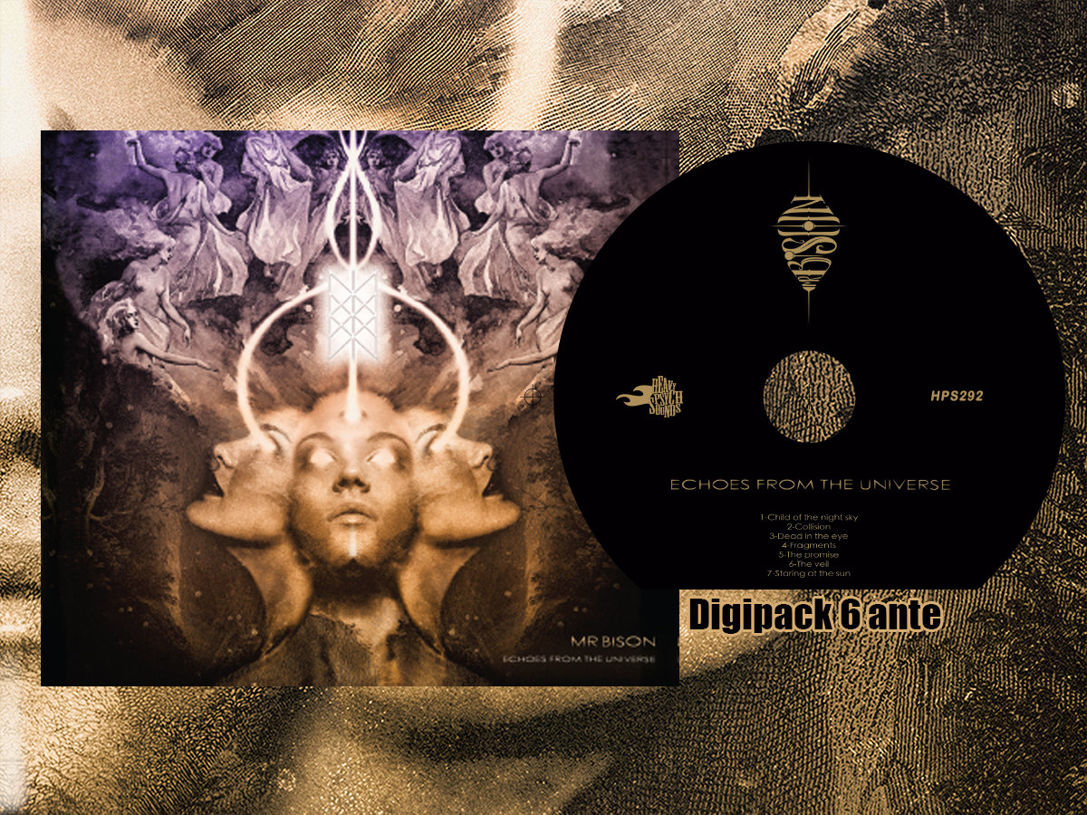 Echoes From The Universe | Mr BISON | Mr Bison