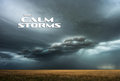 The Calm Storms image
