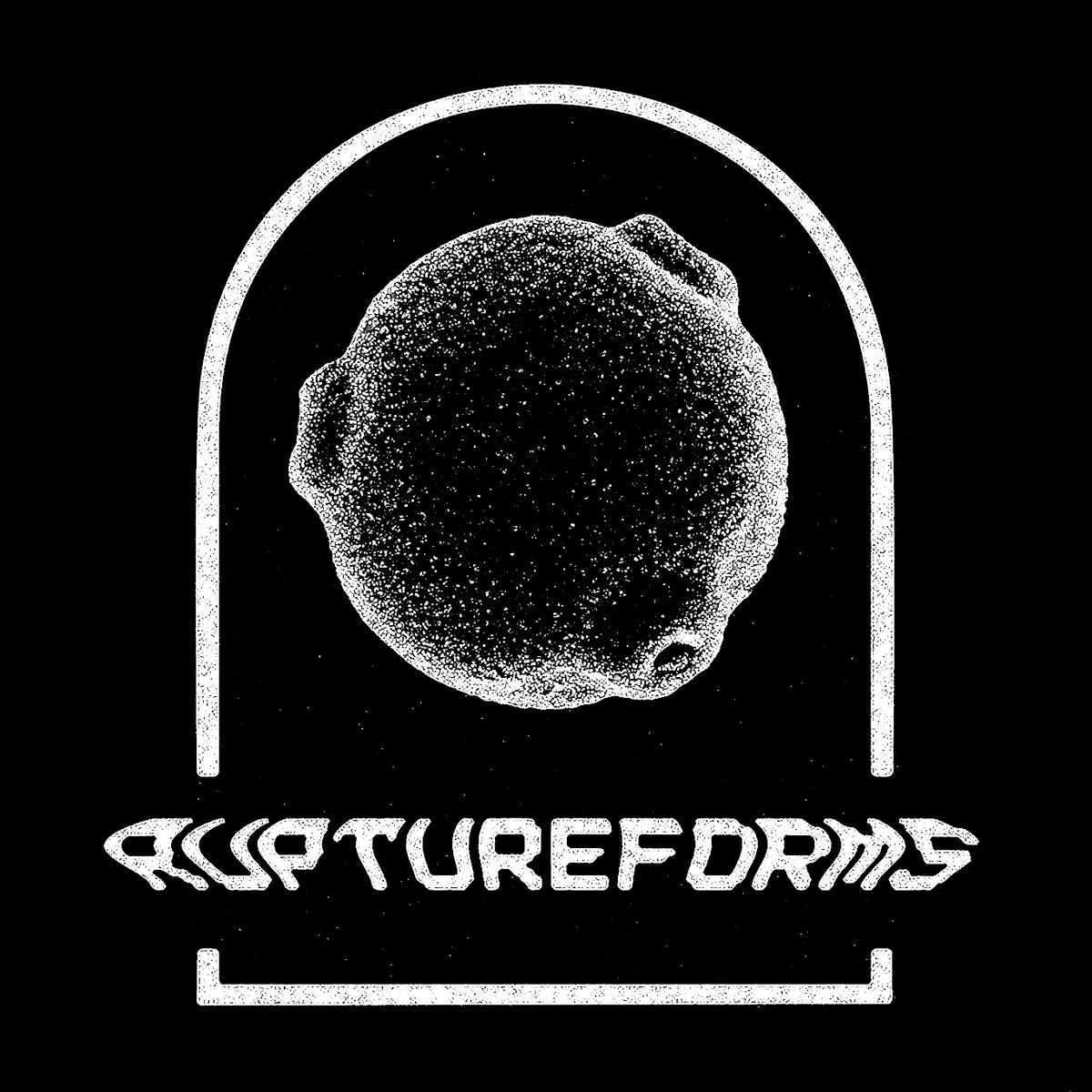 D moncore Termitiere RUPTUREFORMS
