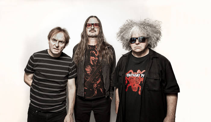 Tarantula Heart | Melvins