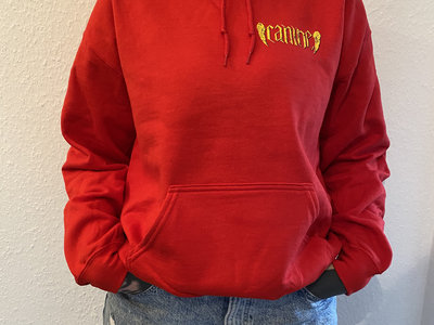 "Absolutely Nothing" Hoodie main photo
