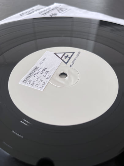 AF051LP] Bloom | Fasme | Analogical Force