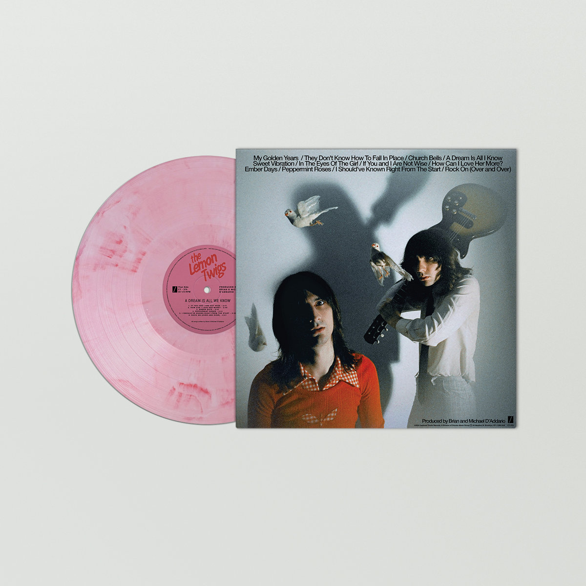 洋楽 The Lemon Twigs A Dream Is All We Know A Dream Is All We Know - Album by The Lemon Twigs | Spotify