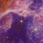 home_safe thumbnail