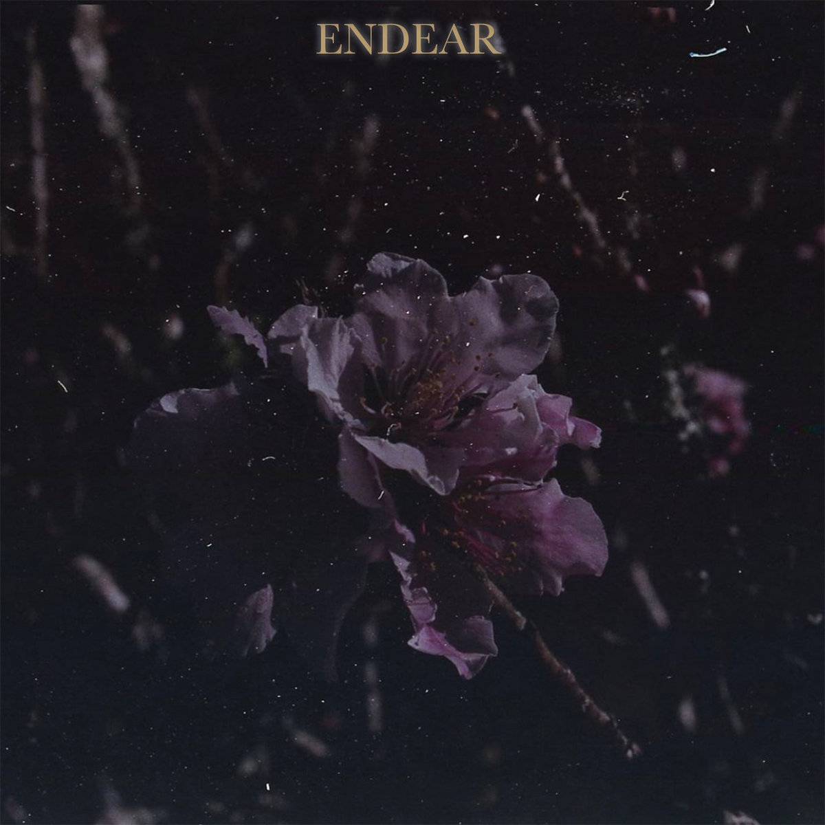 House Fire EP | Endear