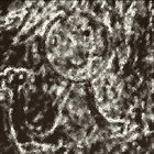salade_dendives thumbnail