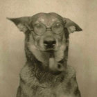 Tyler Clementson thumbnail