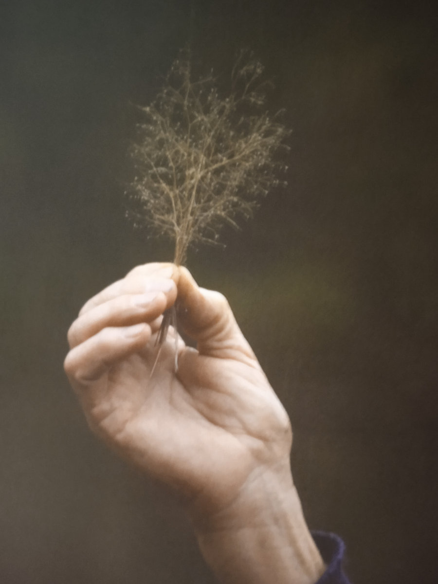 Oscos | Txema González | txemagonzalez