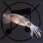 noise_squid_man thumbnail