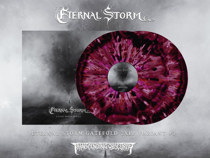 dabeull cosmic fonk 未開封 シールド A Giant Bound to Fall | ETERNAL STORM | Eternal Storm