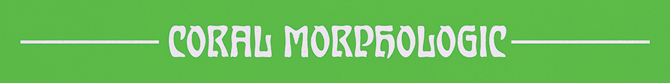 Coral Morphologic — Photo · logo