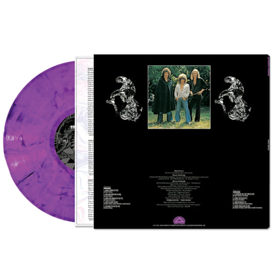 PINK FLOYD LP Another Side Of The Moon - The Alternative Album (Purple  Marbled)