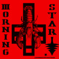 Morning Star image